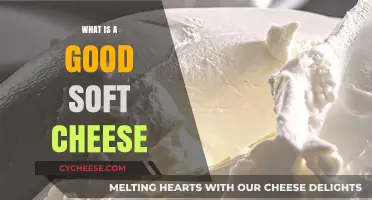 Discover the Creamy Delight: What Makes a Soft Cheese Truly Good?
