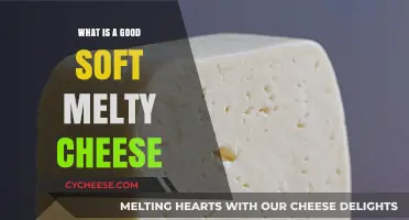 Discover the Best Soft, Melty Cheeses for Ultimate Comfort Cooking