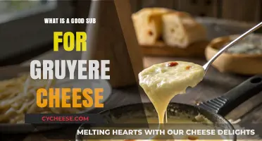 Gruyere Cheese Substitutes: Best Alternatives for Melty, Nutty Flavor