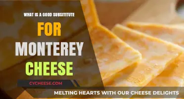 Perfect Monterey Jack Cheese Substitutes for Your Favorite Recipes