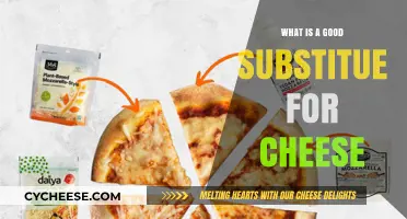 Discover the Best Cheese Alternatives for Your Dairy-Free Diet