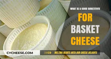 Discover the Best Basket Cheese Alternatives for Your Recipes