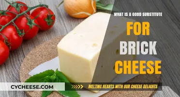 Discover the Best Brick Cheese Alternatives for Your Recipes