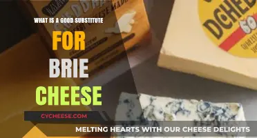 Creamy Alternatives: Best Brie Cheese Substitutes for Your Recipes