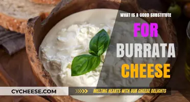 Creamy Alternatives: Best Substitutes for Burrata Cheese in Recipes