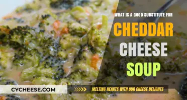 Creamy Alternatives: Best Substitutes for Cheddar Cheese Soup Revealed