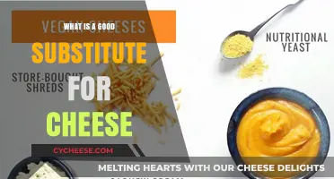 Delicious Dairy-Free Alternatives: Best Cheese Substitutes for Every Dish