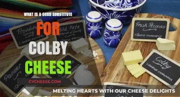 Perfect Colby Cheese Alternatives: Top Picks for Flavor and Texture