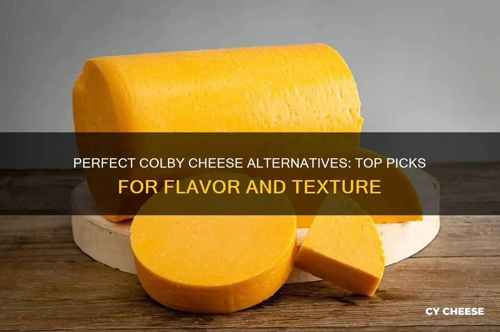 what is a good substitute for colby cheese
