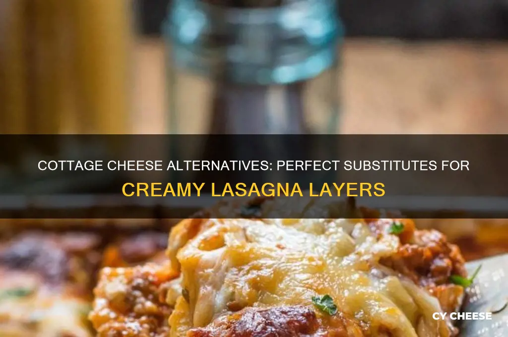 what is a good substitute for cottage cheese in lasagna