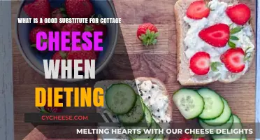 Healthy Cottage Cheese Alternatives for Weight Loss and Dieting Success