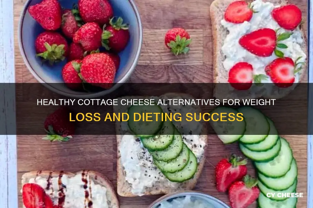 what is a good substitute for cottage cheese when dieting