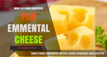 Best Emmental Cheese Alternatives: Tasty Substitutes for Your Recipes
