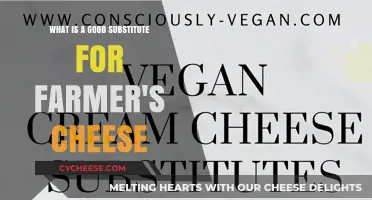 Creamy Alternatives: Best Substitutes for Farmer's Cheese in Recipes