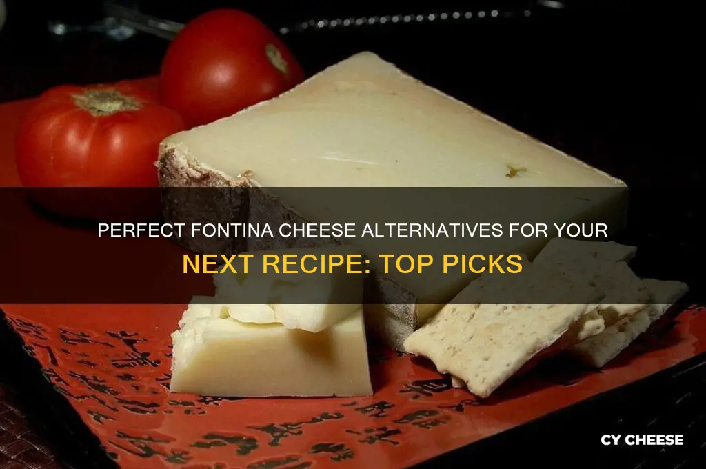 what is a good substitute for fontina cheese