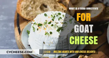 Creamy Alternatives: Best Substitutes for Goat Cheese in Recipes