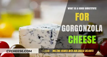 Creamy Alternatives: Best Gorgonzola Cheese Substitutes for Your Recipes