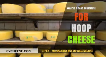 Discover the Best Hoop Cheese Alternatives for Your Recipes