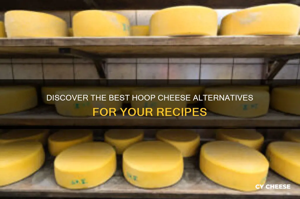 what is a good substitute for hoop cheese