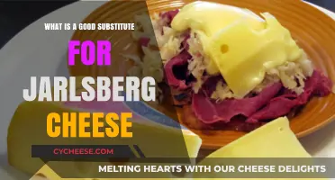 Delicious Jarlsberg Cheese Alternatives: Top Picks for Your Recipes