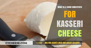 Perfect Kasseri Cheese Substitutes for Your Favorite Mediterranean Recipes