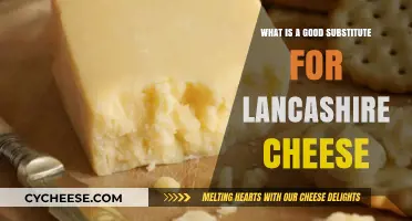 Perfect Lancashire Cheese Alternatives: Top Picks for Your Recipes