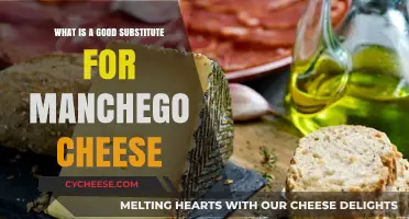 Perfect Substitutes for Manchego Cheese: Elevate Your Dishes with These Alternatives