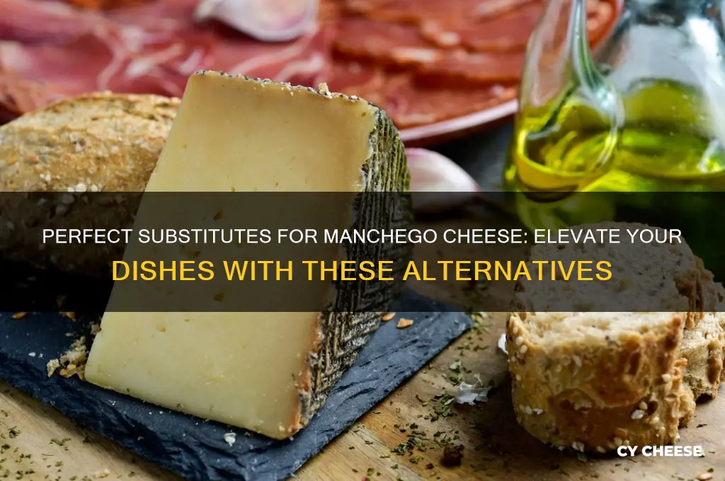 what is a good substitute for manchego cheese