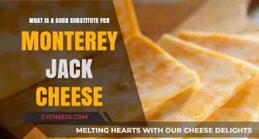 Perfect Monterey Jack Cheese Alternatives for Your Favorite Recipes