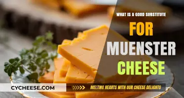 Delicious Alternatives: Best Substitutes for Muenster Cheese in Recipes