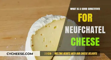 Creamy Alternatives: Best Substitutes for Neufchatel Cheese in Recipes