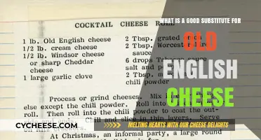 Discover the Best Old English Cheese Alternatives for Your Recipes