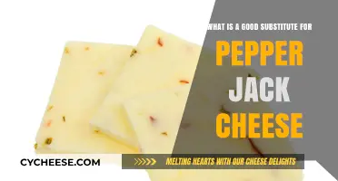 Best Pepper Jack Cheese Alternatives: Flavorful Substitutes for Your Recipes