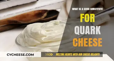 Creamy Quark Cheese Alternatives: Best Substitutes for Your Recipes
