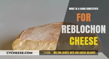 Perfect Reblochon Cheese Alternatives for Your Next French-Inspired Dish