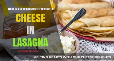 Perfect Lasagna: Top Ricotta Cheese Substitutes for Creamy Layers