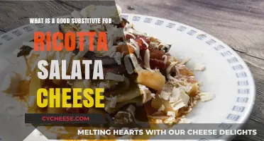 Discover the Best Ricotta Salata Cheese Alternatives for Your Recipes