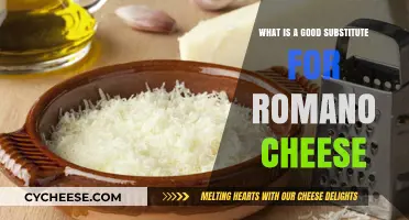 Discover the Best Romano Cheese Alternatives for Your Recipes