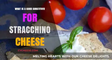 Discover the Best Stracchino Cheese Alternatives for Your Recipes