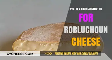 Perfect Alternatives to Roblochon Cheese for Your Culinary Creations
