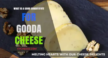 Discover the Best Gouda Cheese Alternatives for Your Recipes