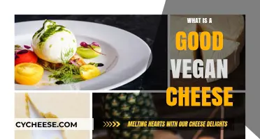 Discover the Best Vegan Cheese Options for Plant-Based Indulgence
