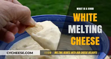 Best White Melting Cheeses: Top Picks for Creamy, Gooey Perfection