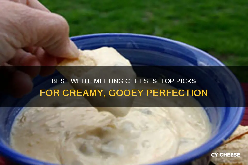 what is a good white melting cheese