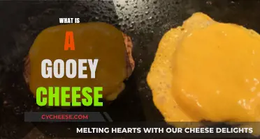 Exploring the Melty Magic: What Makes Cheese Gooey and Delicious