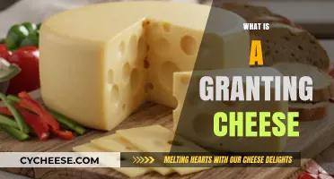 Understanding Granting Cheese: Uses, Types, and Culinary Applications Explained