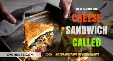 The Classic Ham and Cheese Sandwich: Names and Variations Explained