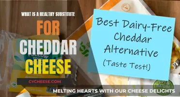 Tasty Cheddar Alternatives: Discover Your New Favorite Cheese!