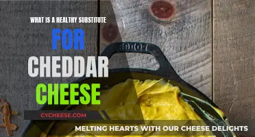 Healthy Alternatives to Cheddar Cheese: Delicious Substitutes