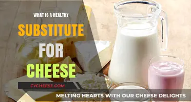 Healthy Cheese Alternatives: Delicious and Nutritious Substitutes